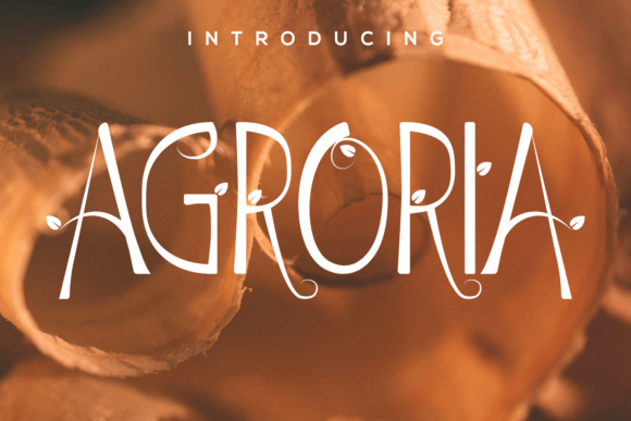 Agroria Font for Makers: Stylish and Elegant Display Typography