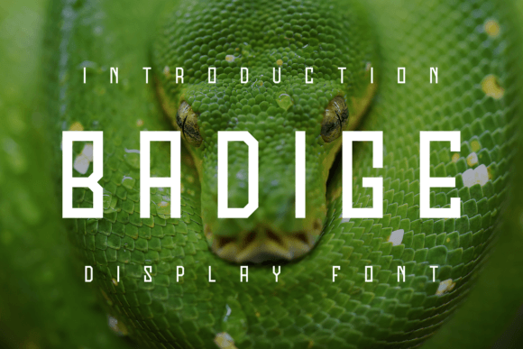 Badige Display Font for Modern Editorial Design