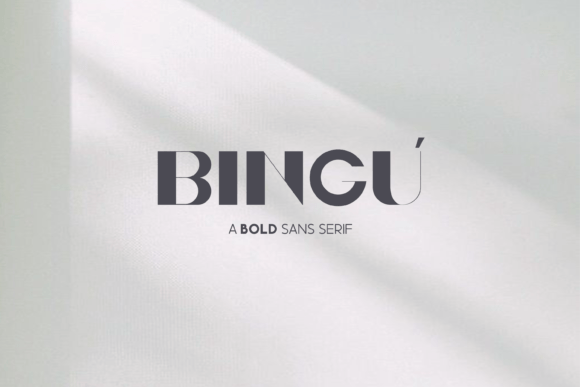 Bingu Display Font for Bold Campaign Headlines