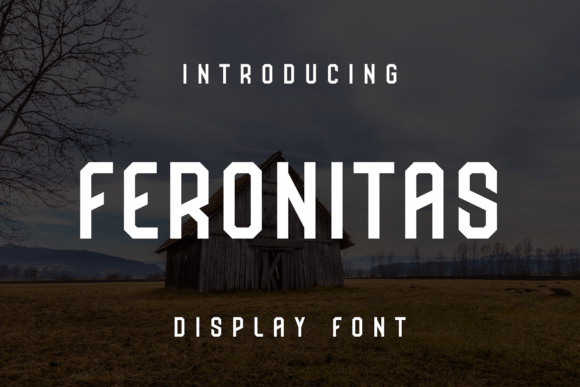 Feronitas: A Display Font That Elevates Digital Design