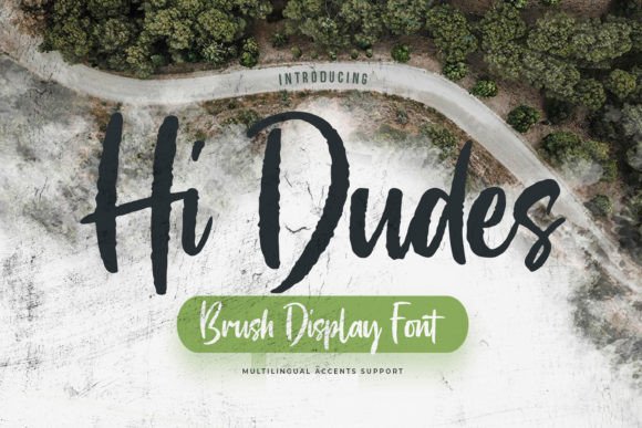 Hi Dudes Font: A Classy Display Typeface for Web Design