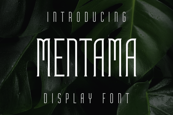 Mentama Display Font for Modern Web Design