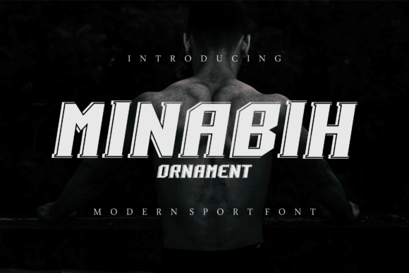Minabih Ornament Display Font for Bold Branding and Digital Creatives