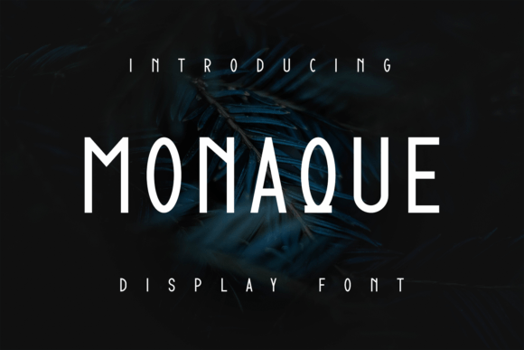 Monaque Font for a Polished Brand Identity