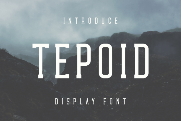 Tepoid Display Font for Creative Business Branding